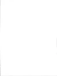 (C82) [Nijusei (Various)] Touhou Somezome Musume (Touhou Project)