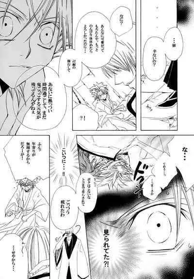 AISIRO Soushuuhen II