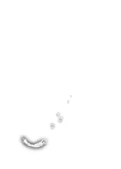 Wakadori no Torikago