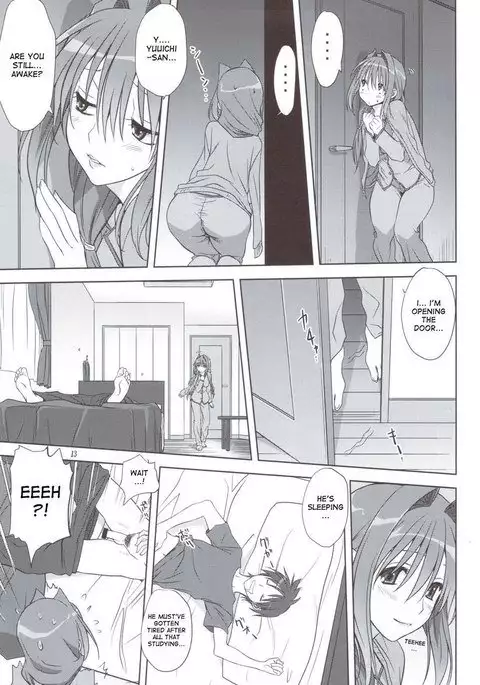 Akiko-san to Issho 11