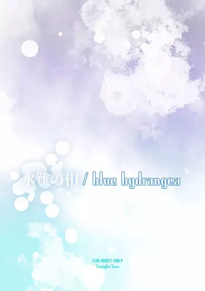 / blue hydrangea