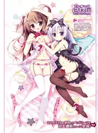 Dengeki Otona no Moeoh Vol.05