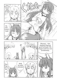 (SC39) [Toraya (Itoyoko)] Ookami to Butter Inu (Spice and Wolf) [English]