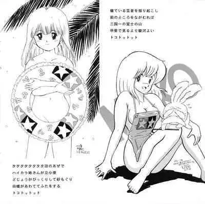 Moko-chan's Bombshell Guidebook!