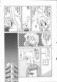 [DONKEY] Pokapoka Fantasy