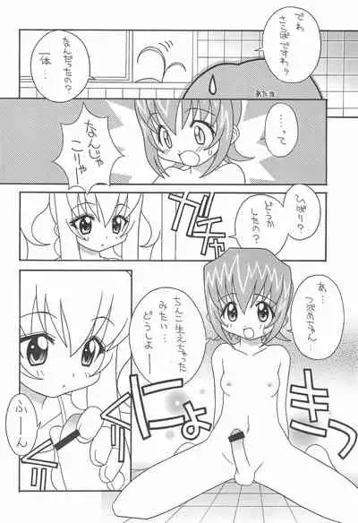 Soko da! Ninpou Youji Taikei no Jutsu 2nd