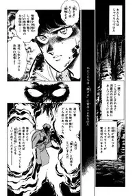 [Shibata Masahiro] Nano Sector