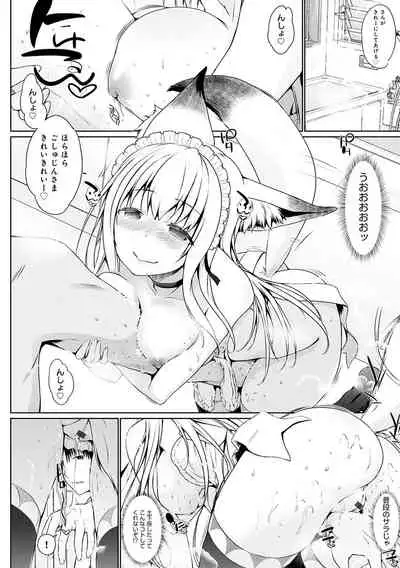 Houshi Shuzoku ga Yattekita!