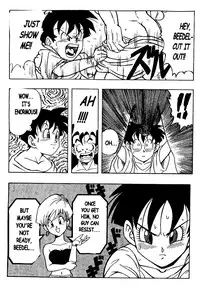 DOUJIN 2000 - Dragonball H [English]