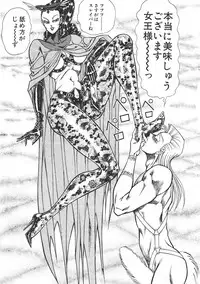 [Inui Haruka] Joousama Wars