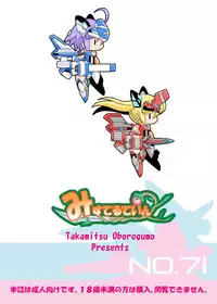 [Misuterutein (Oborogumo Takamitsu)] VH5 (Busou Shinki) [Digital]