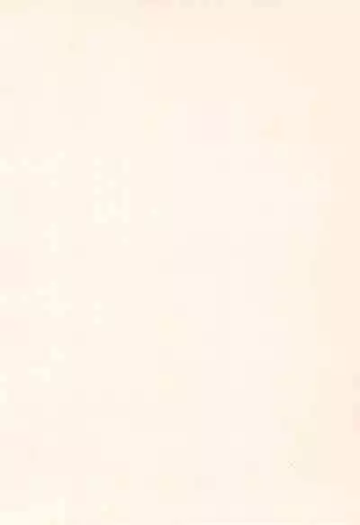 Gokuraku Tokkyuu AMINO