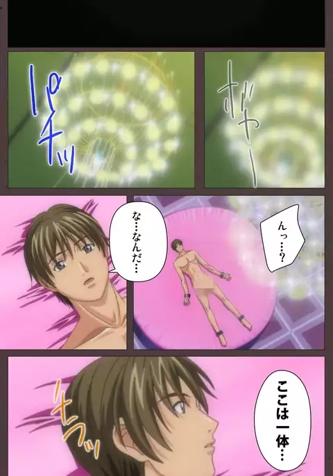 DISCIPLINE Daiichiwa Complete Ban