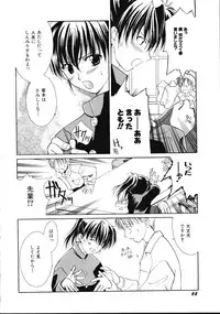 [Phoenicia Masako (Mari Amo)] Marshmallow Box