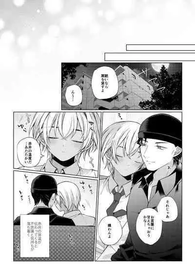 Shiki o Meguru Inori wa Itsumademo