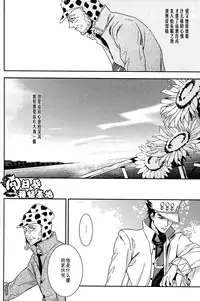 [JOJO][JC]Stelle[CN]