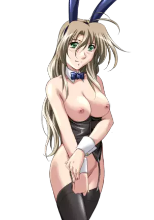 Do You Like Horny Bunnies? 2 (decensored)