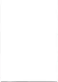 (C95) [Cleari Tei (Clearite)] Bradamante Sperm Brothers (Fate/Grand Order)