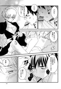 (C82) [SUMMER CHILD (Kemeko)] Wataruseken Wa Ga Bakari (Fate/Zero)