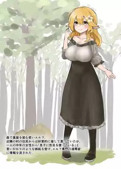 Elf o Okasu Hon 2 | A Book About Raping an Elf 2