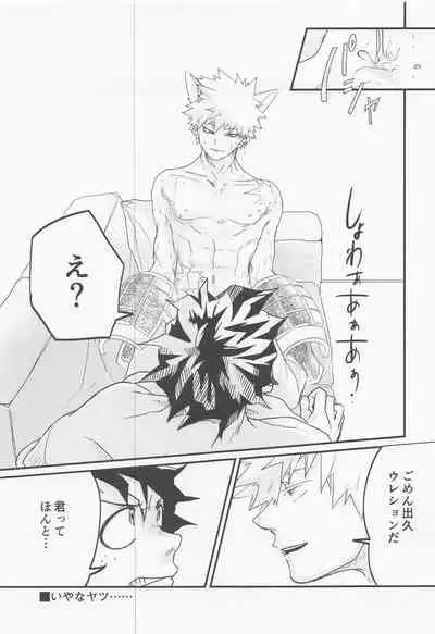 [nimosaku] hironosekkusunantekonnamon (bokunohiroakademia)