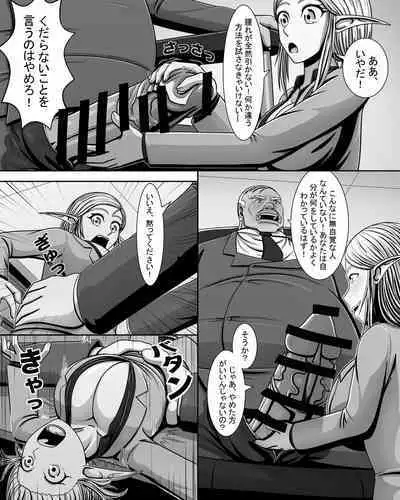 Yōsei Tokushū: Shichō no Himitsu