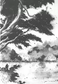 [Shibata Masahiro] Nano Sector