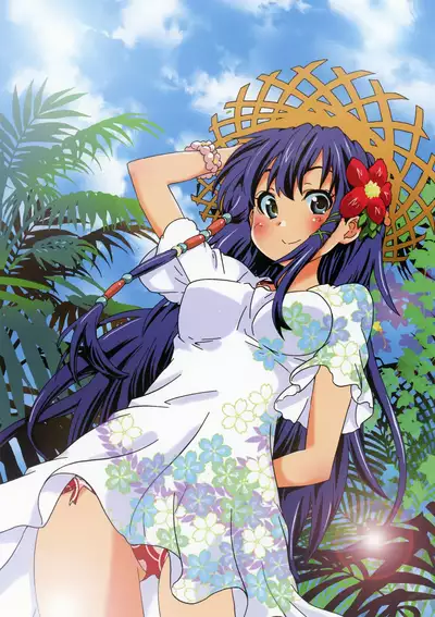 Toranoana Chronicle 2012