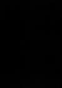 [Cyber Angel (Murai Aria)] Genei Sampo (Touhou Project)