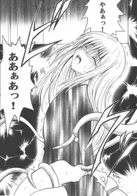 [Crimson (Carmine)] Kyouiku Soushuuhen (Black Cat)