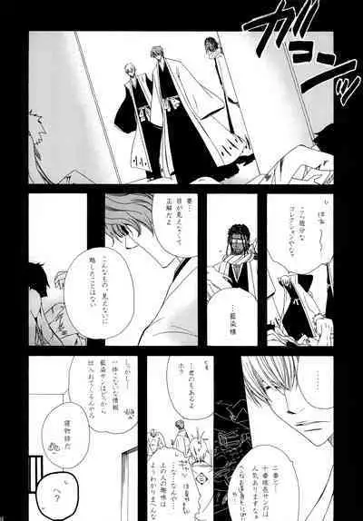 AISIRO Soushuuhen II