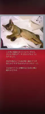 [REN] Toriko - The Captive