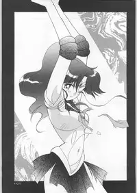 (C45) [Uroboros (Various)] Paraselene (Bishoujo Senshi Sailor Moon)