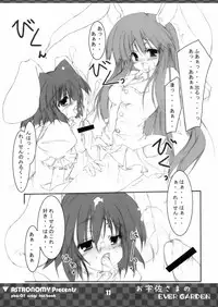 [COMIC1] [ASTRONOMY (SeN)] Ousa-sama no EVER GARDEN (Touhou Project)