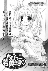 Comic Potpourri Club 2004-08