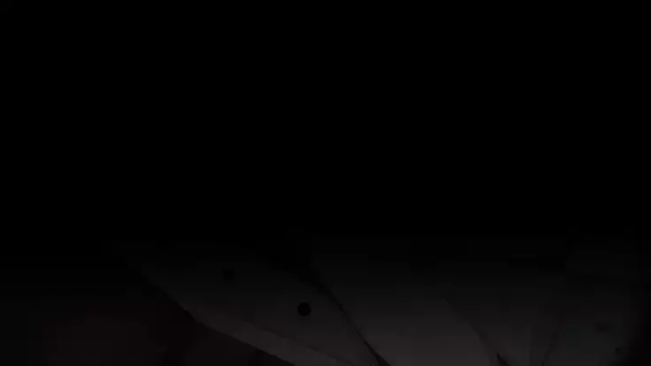 Iseki no Naka wa ero Wana-Darake