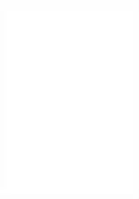 (C88) [Niha-Sympathy (Hosoi Kouzou)] Mokochin - Houraibito Hyakuban Shoubu!! (Touhou Project)