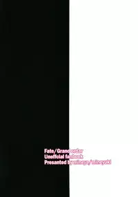 (C93) [Mineya (Mineyuki)] LOST (Fate/Grand Order) [English] {doujins.com}