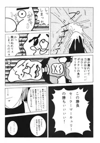 Sailor X Volume 1 (Sailor Moon)