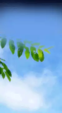 [Hong BanJang] Aharoo Ch.1-39 (English) (YoManga) (Ongoing)