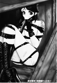 [Anthology] Oshioki! Dorobou Neko!!