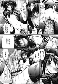 COMIC Mega GOLD 2007-07 Vol. 1