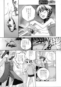 Comic Rin Vol. 23 [2006-11]