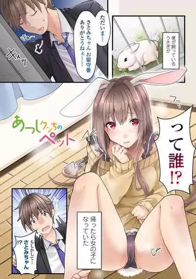 SWEET silent illusion