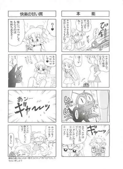 Shin Bishoujo Shoukougun 1 Reimei Hen