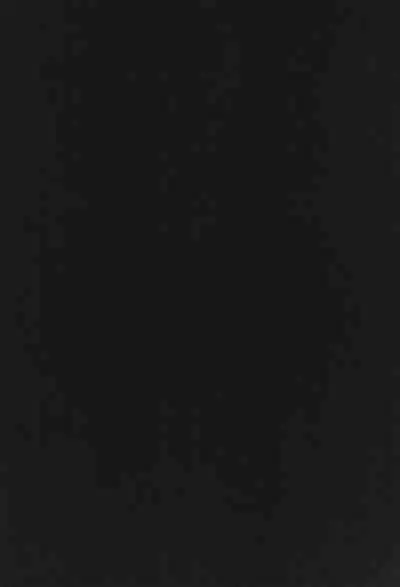 Osakabitch Soushuuhen