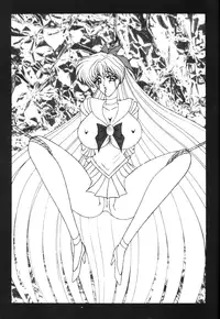 Sailor X Volume 1 (Sailor Moon)