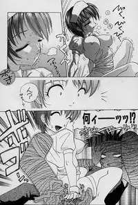 [Hazuki Shishimaru] aigan bishoujo teki seikatsu no susume