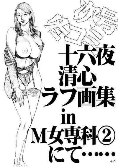 Izayoi Seishin Rough Gashuu in M-jo Senka