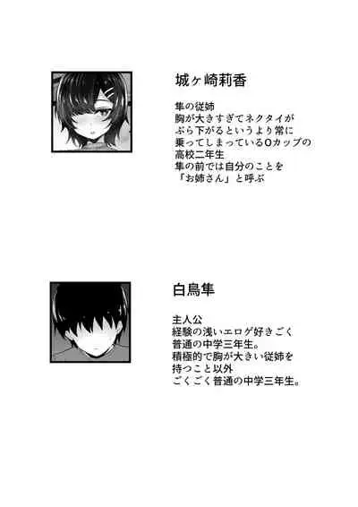 Kyounyuu Nee-chan to Asobanai no